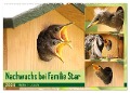 Nachwuchs bei Familie Star (Wandkalender 2024 DIN A2 quer), CALVENDO Monatskalender - Heike Hultsch