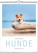 Cover-Bild zum Titel 'Literarischer Hunde Kalender 2027' von 'Vivendi Ars'