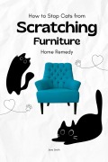 Cover-Bild zum Titel 'How to Stop Cats from Scratching Furniture: Home Remedy' von 'Jane Smith'