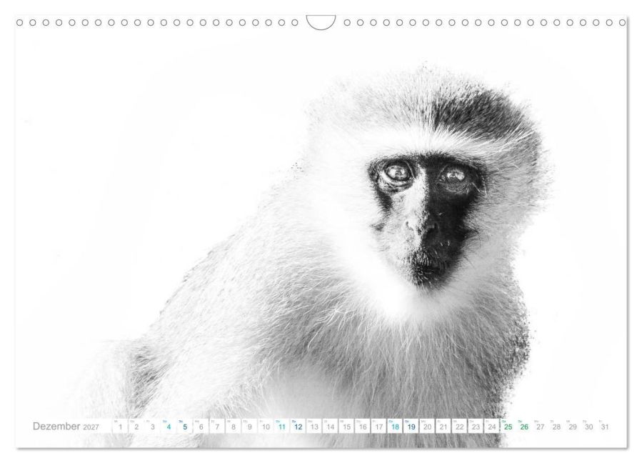 InsideView 4