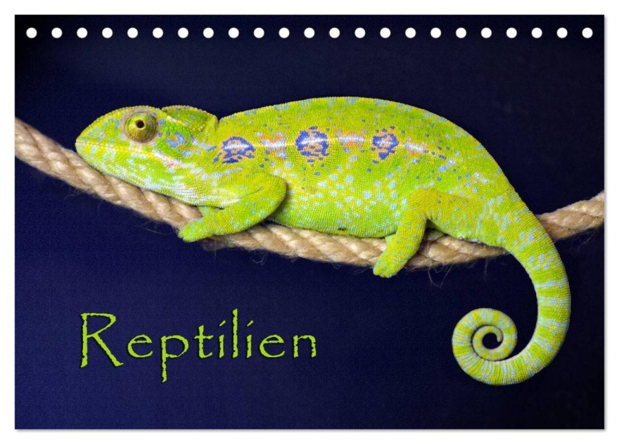 Reptilien (Tischkalender 2026 DIN A5 quer), CALVENDO Monatskalender - Der Sushi