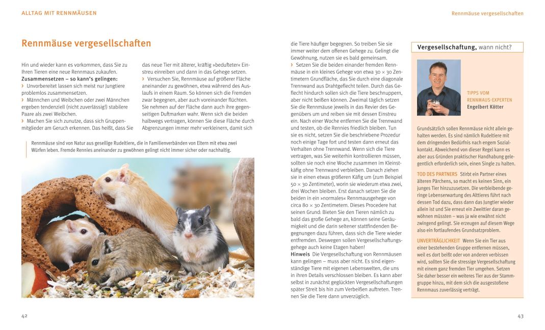 InsideView 6