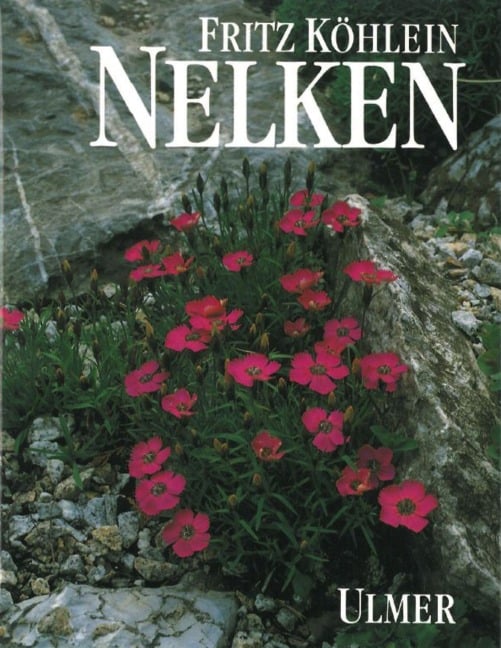 Nelken - Fritz Köhlein