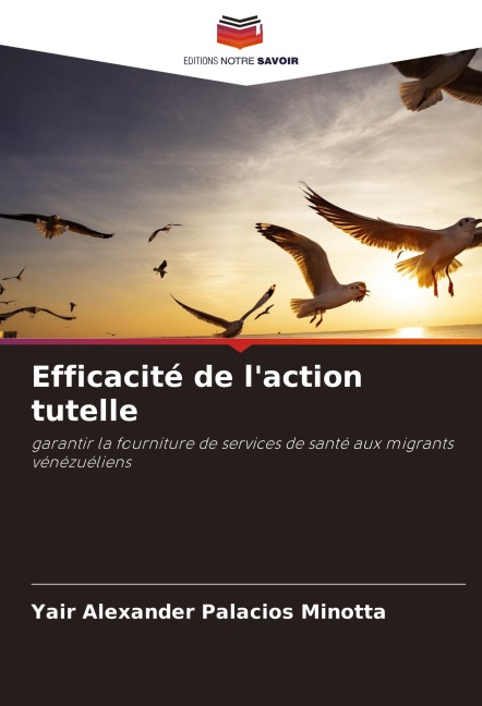 Efficacité de l'action tutelle - Yair Alexander Palacios Minotta