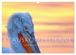 Cover-Bild zum Titel 'Krauskopfpelikane (Wandkalender 2026 DIN A3 quer), CALVENDO Monatskalender' von 'Stephan Peyer'