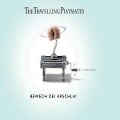Cover-Bild zum Titel 'Bewech Dei Ärschla' von 'The Travelling Playmates'