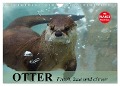 Otter. Frech, laut und clever (Wandkalender 2024 DIN A4 quer), CALVENDO Monatskalender - Elisabeth Stanzer