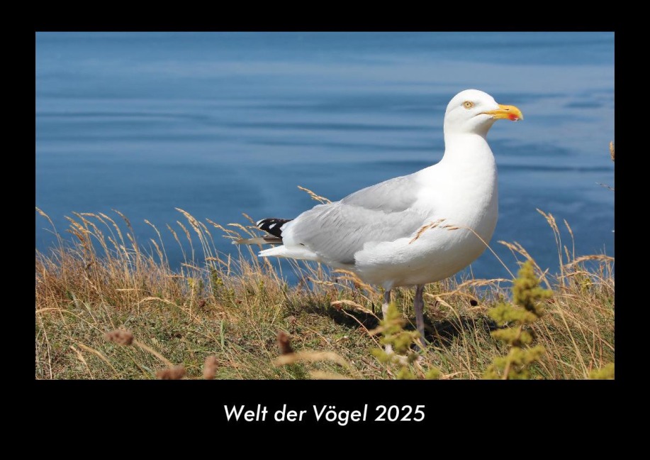 Welt der Vögel 2025 Fotokalender DIN A3 - Tobias Becker