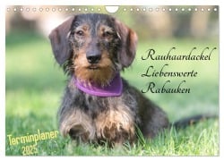 Familienplaner - Liebenswerte Rabauken - Rauhaardackel (Wandkalender 2025 DIN A4 quer), CALVENDO Monatskalender - Barbara Mielewczyk