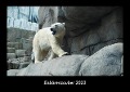 Eisbärenzauber 2023 Fotokalender DIN A3 - Tobias Becker