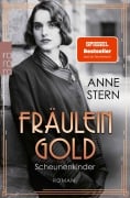 Cover-Bild zum Titel 'Fräulein Gold: Scheunenkinder' von 'Anne Stern'
