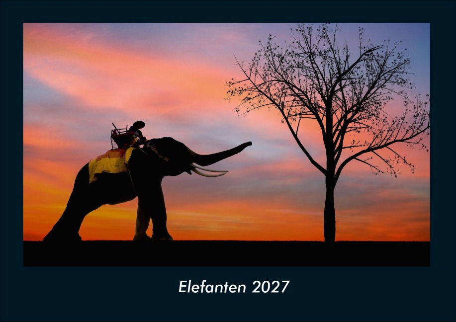 Elefanten 2027 Fotokalender DIN A4 - Tobias Schmitt, Kevin Heber