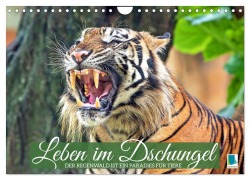 Cover-Bild zum Titel 'Leben im Dschungel: Der Regenwald ist ein Paradies für Tiere (Wandkalender 2026 DIN A4 quer), CALVENDO Monatskalender' von 'Calvendo Calvendo'