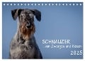 Schnauzer... von Zwergen und Riesen 2025 (Tischkalender 2025 DIN A5 quer), CALVENDO Monatskalender - Michael Janz