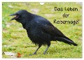 Das Leben der Rabenvögel (Wandkalender 2025 DIN A4 quer), CALVENDO Monatskalender - Kattobello Kattobello