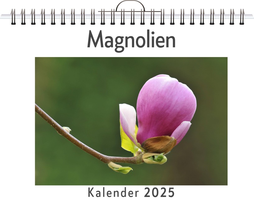 Magnolien - Mia Hoffmann