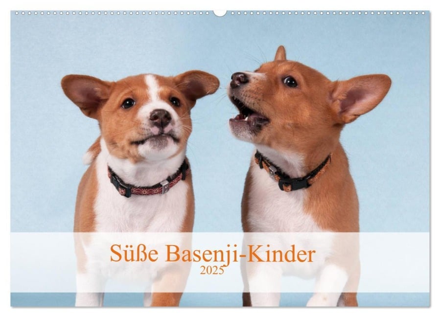 Süße Basenji-Kinder (Wandkalender 2025 DIN A2 quer), CALVENDO Monatskalender - Angelika Joswig