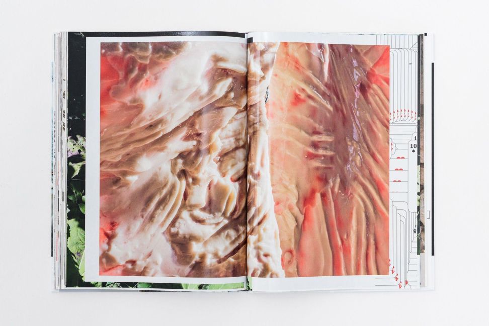 InsideView 17