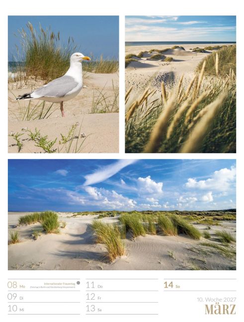 InsideView 14