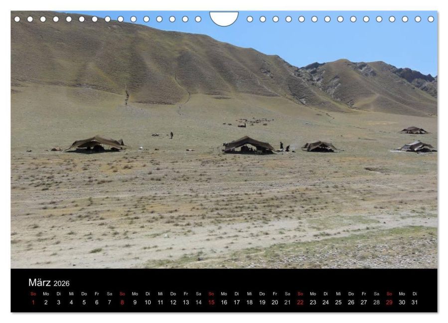 InsideView 8
