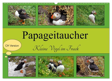 Papageitaucher Kleine Vögel im Frack CH Version (Wandkalender 2024 DIN A2 quer), CALVENDO Monatskalender - Babett Paul - Babett's Bildergalerie