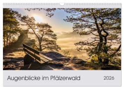 Cover-Bild zum Titel 'Augenblicke im Pfälzerwald (Wandkalender 2026 DIN A3 quer), CALVENDO Monatskalender' von 'Patricia Flatow'