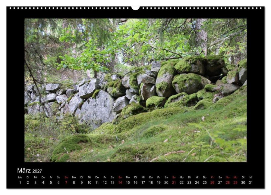 InsideView 8