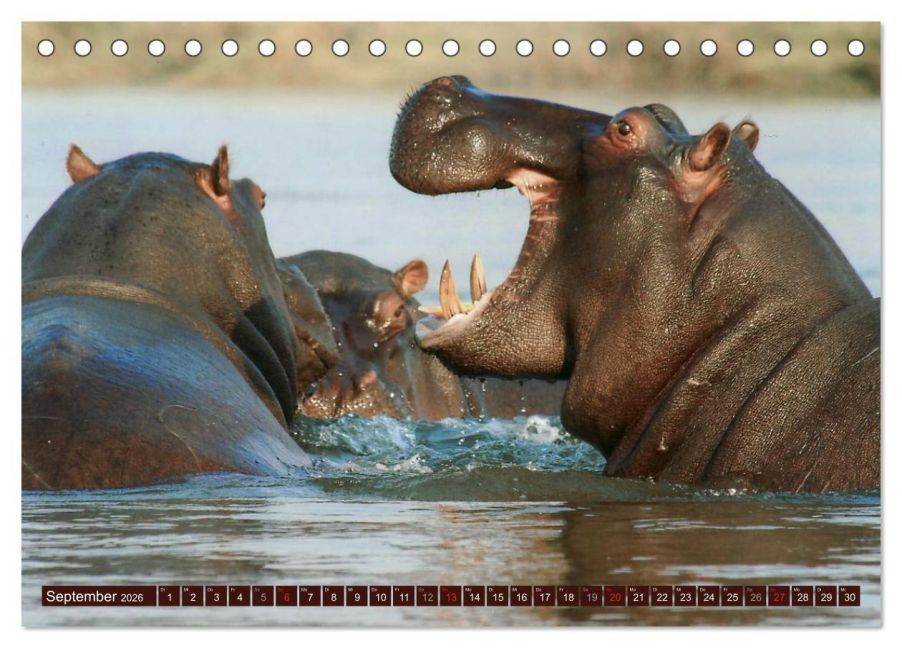 InsideView 14