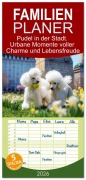 Cover-Bild zum Titel 'Familienplaner 2026 - Pudel in der Stadt. Urbane Momente voller Charme und Lebensfreude mit 5 Spalten (Wandkalender, 21 x 45 cm) CALVENDO' von 'Rose Hurley'