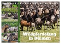 Faszination Wildpferdefang in Dülmen (Tischkalender 2024 DIN A5 quer), CALVENDO Monatskalender - Babett Paul - Babetts Bildergalerie