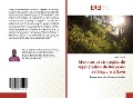 Cover-Bild zum Titel 'Menaces et stratégies de régénération de Borassus aethiopum à Savè' von 'Aurès Tchiché'