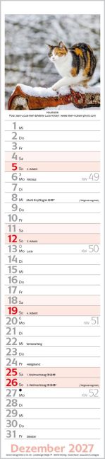 InsideView 12
