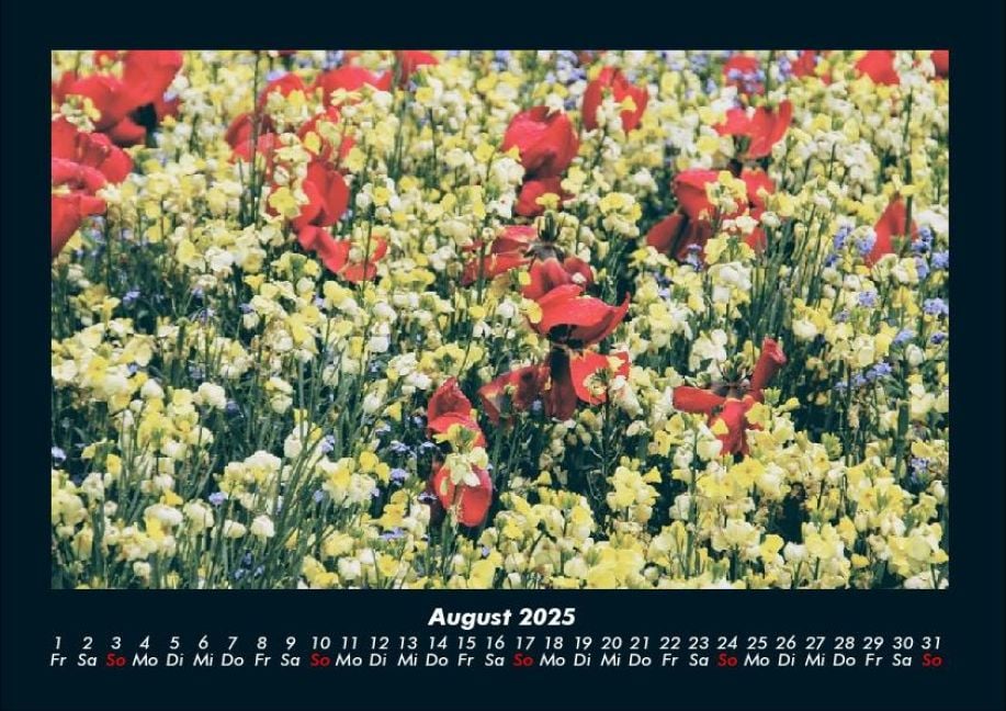 InsideView 12