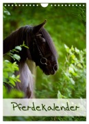 Pferdekalender (Wandkalender 2026 DIN A4 hoch), CALVENDO Monatskalender - Nicole Noack
