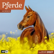 Cover-Bild zum Titel 'Pferde Kalender 2027 - 30x30 - Art12' von 'Ackermann Kunstverlag GmbH'