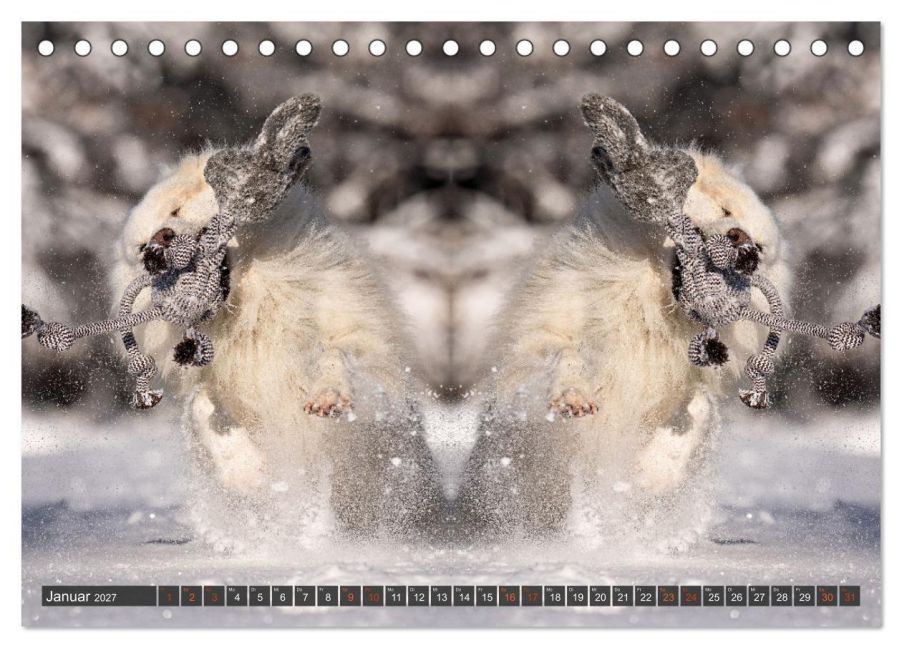 InsideView 6