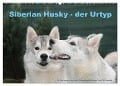 Siberian Husky - der Urtyp (Wandkalender 2024 DIN A2 quer), CALVENDO Monatskalender - Michael Ebardt
