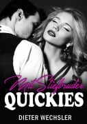 Cover-Bild zum Titel 'RAUE GUTE-NACHT-QUICKIES MIT STIEFBRUDER' von 'Dieter Wechsler'