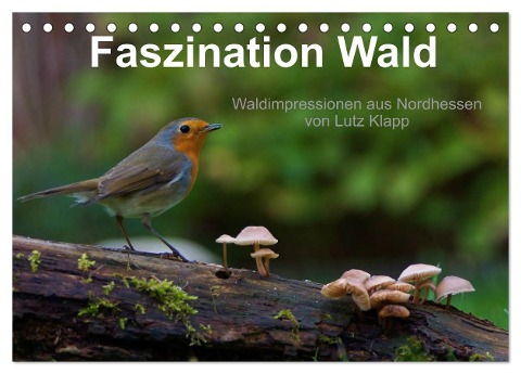 Faszination Wald. Waldimpressionen aus Nordhessen von Lutz Klapp (Tischkalender 2024 DIN A5 quer), CALVENDO Monatskalender - Lutz Klapp