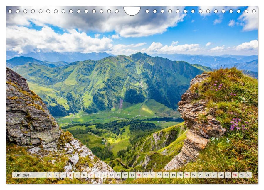 InsideView 11