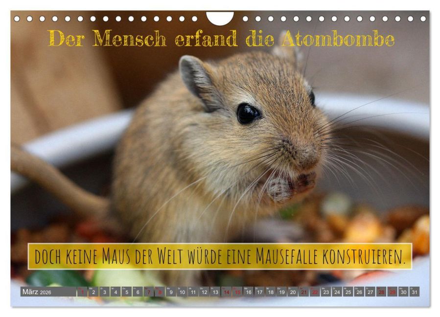 InsideView 8