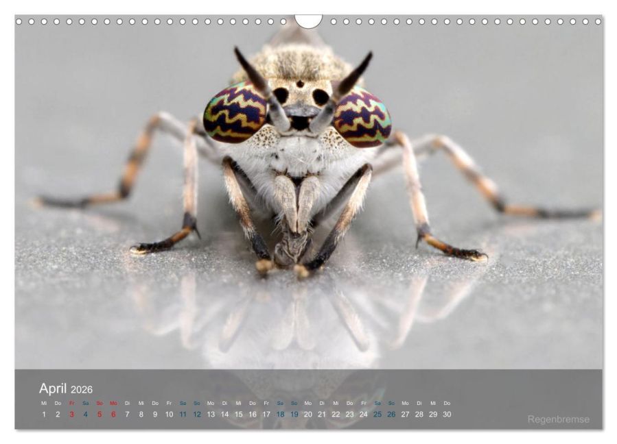 InsideView 9