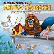 Cover-Bild zum Titel '44: Warum bauen Biber Dämme?' von 'Kati Naumann, Klaus Brotmann'