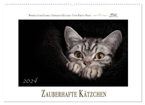 Zauberhafte Kätzchen (Wandkalender 2024 DIN A2 quer), CALVENDO Monatskalender - Martina Wrede