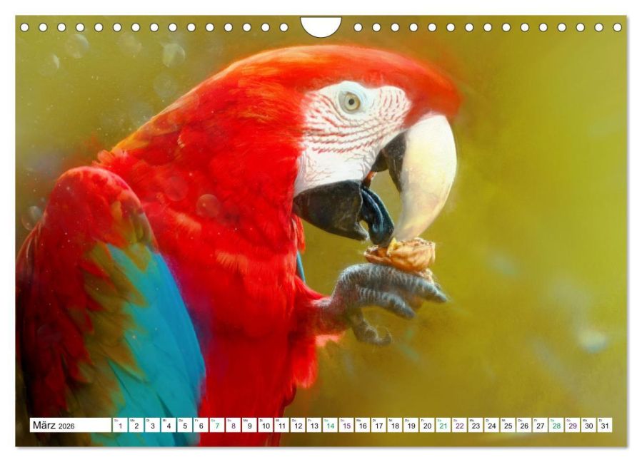 InsideView 8