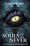 Souls of the Never (Tales of the Neverwar, #1) - Cj Rutherford
