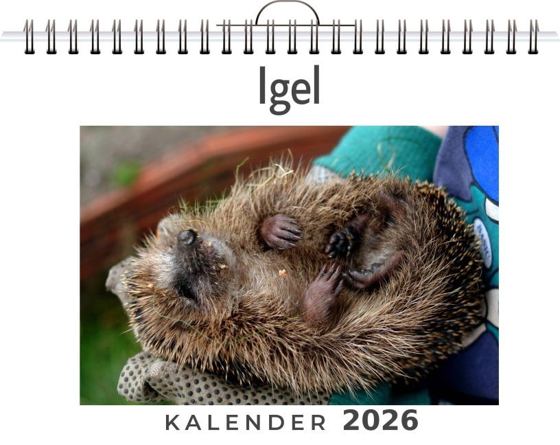 Igel - Lucy Koch