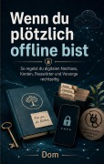 Cover-Bild zum Titel 'Wenn du plötzlich offline bist' von 'Dom'