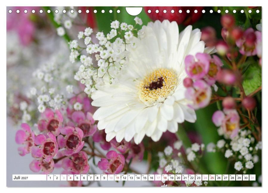 InsideView 12