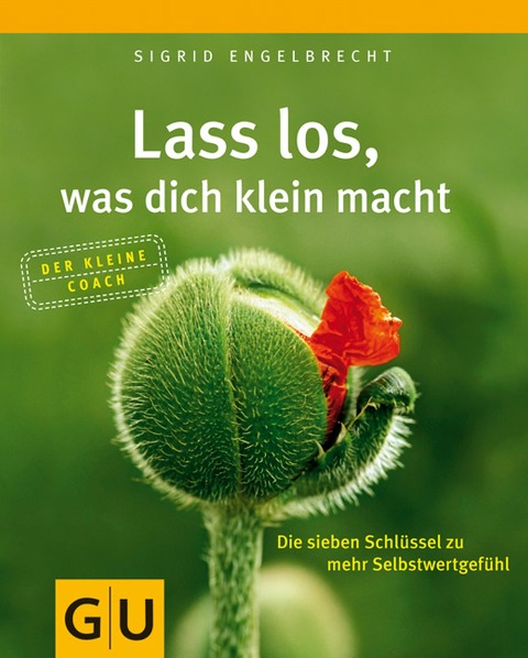 Lass los, was dich klein macht - Sigrid Engelbrecht